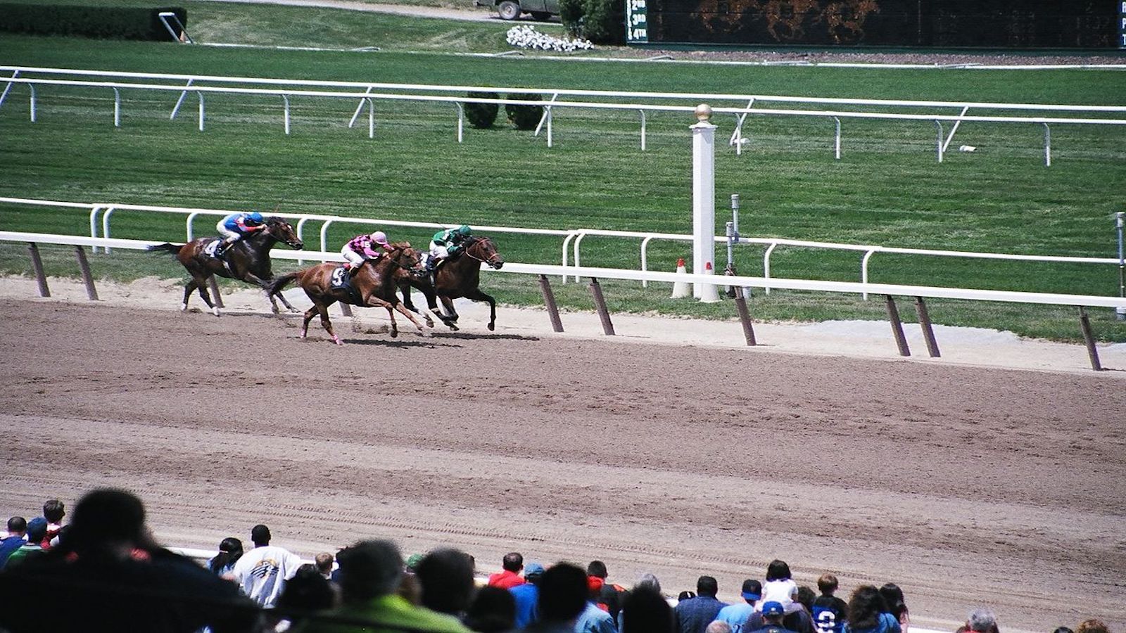 Hotels Near Belmont Park Ny Sheraton Jfk Airport Hotel Sheraton Jfk Airport Hotel Belmont Park