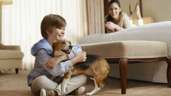 Dog Friendly Hotel Nyc Sheraton Jfk Airport Dog Friendly Hotel Nyc